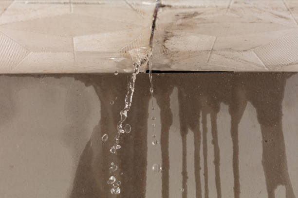 Professional Water Extraction technician working in Central City, IL